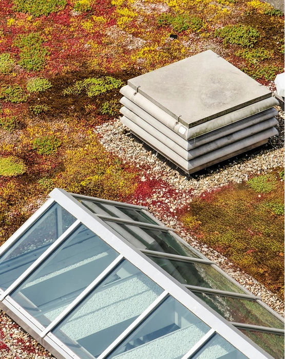 Eco / Living Roofs